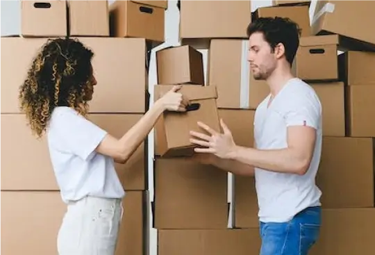 How Much Do Removals Cost?