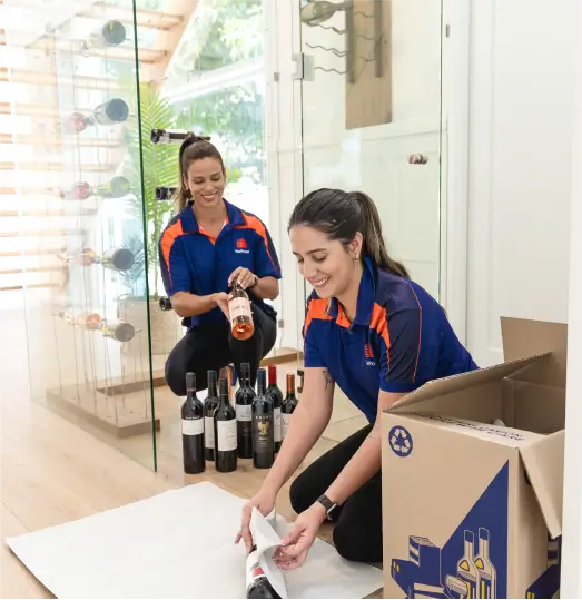 Professional Removalists